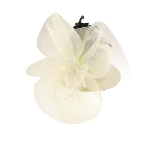 Ruilogod Hochzeitsfeiern Schleier Blumenakzent Mini-Top-Hut Hairclip von Ruilogod
