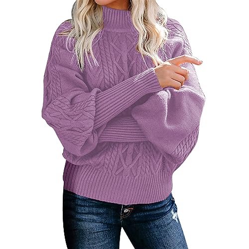 Rumity Sweatshirt Damen Basic Rundhals Langarmshirt Herbst Winter Pullover Casual Lose Oberteile Shirts Tops Oversize Pullover Rollkragenshirt Damen Langarm von Rumity