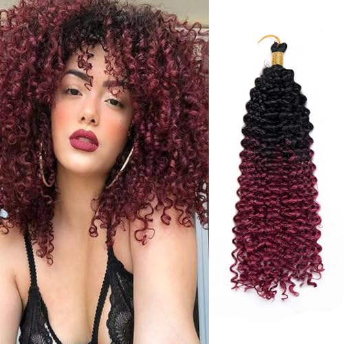 S-noilite Lockiges Flechthaar, Marlybob Häkelzöpfe Haarverlängerung 35 cm Wasserwelle Afro Kinky Jerry Curl Vorgedehntes Ombre Flechthaarteil für schwarze Frauen, 1 Packung 100 g,Schwarz zu Charm-Rot S-noilite Lockiges Flechthaar, Marlybob Häkelzöpfe Haarverlängerung 35 cm Wasserwelle Afro Kinky Jerry Curl Vorgedehntes Ombre Flechthaarteil für schwarze Frauen, 1 Packung 100 g,Schwarz zu Charm-Rot von S-noilite