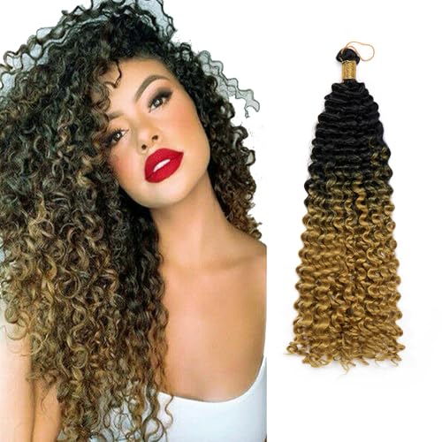 S-noilite Lockiges Flechthaar, Marlybob Häkelzöpfe Haarverlängerung 35 cm Wasserwelle Afro Kinky Jerry Curl Vorgedehntes Ombre Flechthaarteil für schwarze Frauen, 1 Packung 100 g,Schwarz zu Gold S-noilite Lockiges Flechthaar, Marlybob Häkelzöpfe Haarverlängerung 35 cm Wasserwelle Afro Kinky Jerry Curl Vorgedehntes Ombre Flechthaarteil für schwarze Frauen, 1 Packung 100 g,Schwarz zu Gold von S-noilite