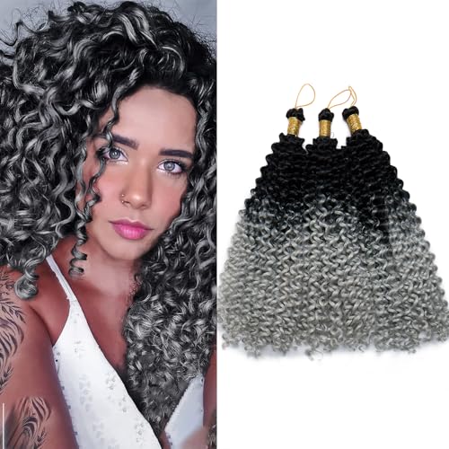S-noilite Lockiges Flechthaar, Marlybob Häkelzöpfe Haarverlängerung 35 cm Wasserwelle Afro Kinky Jerry Curl Vorgedehntes Ombre Flechthaarteil für schwarze Frauen, 3 Pack 300 g,Schwarz zu Silbergrau von S-noilite