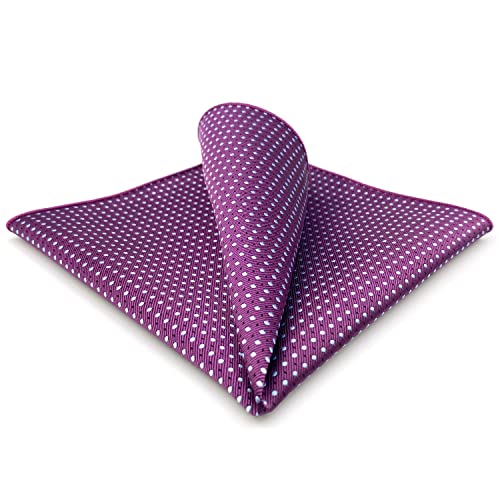 S&W SHLAX&WING Einstecktücher für Herren Dotty Purple mit blauen Punkten Farbrand von S&W SHLAX&WING