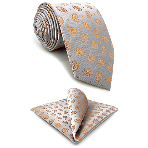 S&W SHLAX&WING Krawatten für Herren Silber Orange Paisley Herren Krawatten Set für Anzug Klassische Größe von S&W SHLAX&WING