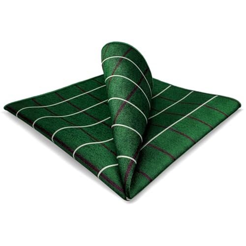 S&W SHLAX&WING Neu Kariert Grün Herren Einstecktücher for Suit Jacket Designer von S&W SHLAX&WING