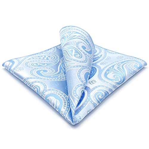 S&W SHLAX&WING Paisley Silber Weiß Blau Herren Einstecktücher Neu Fashion Hankies S&W SHLAX&WING Paisley Silber Weiß Blau Herren Einstecktücher Neu Fashion Hankies von S&W SHLAX&WING