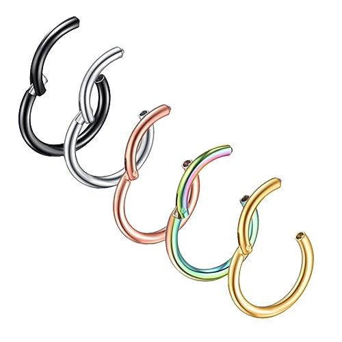 SAFIGLE 5Stücke Teiliges Gefälschte Nasenringe Nasenpiercing Schmuck Edelstahlfarbe Regenbogen und Roségold für Damen und Mädchen Vielseitig von SAFIGLE