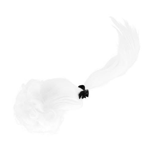 SAFIGLE Anwaltsperücke Männliche Perücken Rechtsanwalt Perücke Halloween-perücken Richter-anwalt-kostüm Richter Perücken Richter Kostümzubehör Perückenkostüm Für Herren Plastik Weiß von SAFIGLE