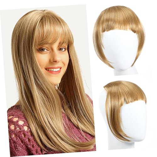 SAFIGLE Haarteil Clip in Haarverlängerungsclip Damen Fake Haarschnitt Haarclip Haar Accessoire Mit Clip Für Frauen Frisurenaccessoires von SAFIGLE