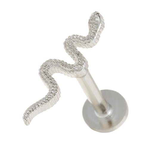 SAFIGLE Silber Schlangen Ohrstecker Damen Elegant Ohrkletterer Leicht und Klassisch Alltag Schmuck SAFIGLE Silber Schlangen Ohrstecker Damen Elegant Ohrkletterer Leicht und Klassisch Alltag Schmuck von SAFIGLE