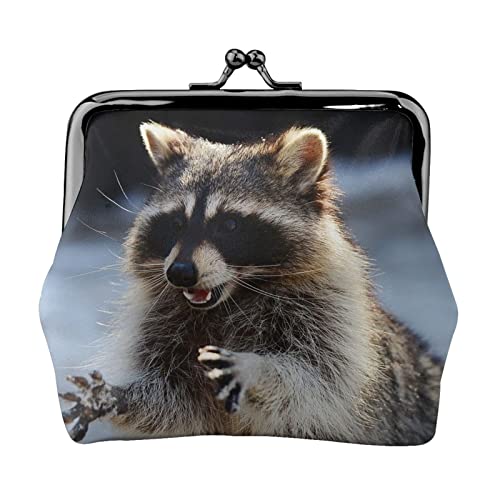 Cute Raccoon Portable Leather Kiss Lock Coin Purse for Women and Girls for shopping, travel, weddings, Mother's Day gifts, Black, One Size, Black, One Size, Schwarz , Einheitsgröße von SAINV