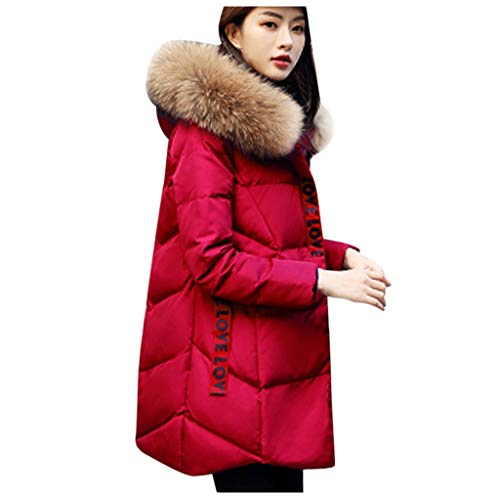 SALUCIA Damen Herbst Winter Fellkragen Langarm Reissverschluss Daunen Mantel Jacke mit Kapuze Frauen Mode Lässige Warme Wattierte Jacke Steppmantel Wintermantel Hoodie Übergangsjacke Outwear von SALUCIA