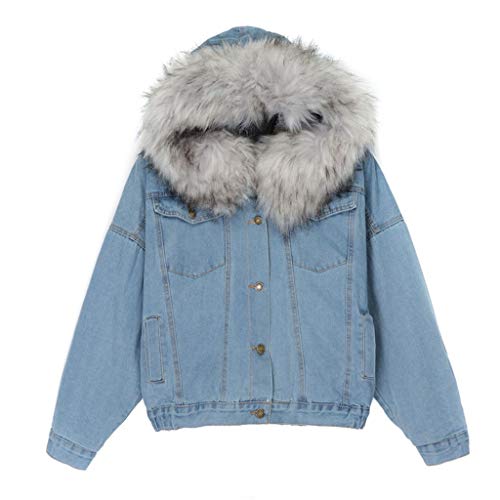 SALUC1A Damen Winterjacke Warm Jeansjacke Fellkapuze Kurz Jacke mit Teddyfutter Herbst Winter Übergangsjacke Outwear(Grau mit Grau Gefüttert, M) von SALUCIA