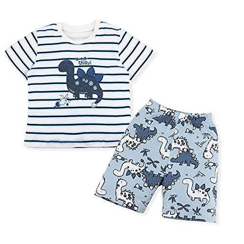 SAMGU Jungen Schlafanzug Dinosaurier Langarm Kurzarm Pyjama Kinder Zweiteilig Pyjama Set Baumwolle Größe 1-8 Jahre für Sommer Frühling Winter Fallen von SAMGU