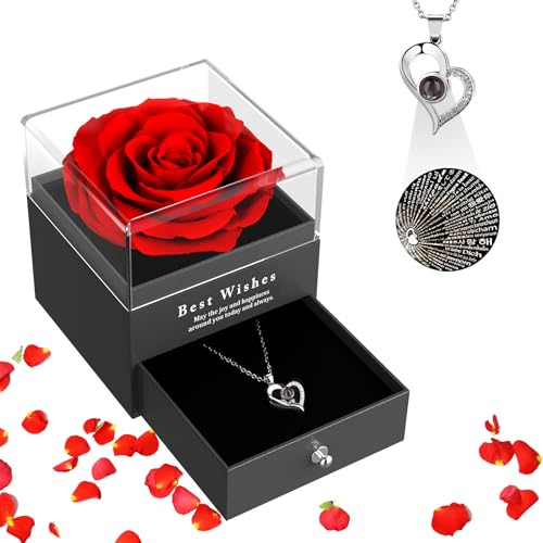 SANOTO Ewige Rose, Geschenke Für Freundin Mama Frauen Oma Frau Geschenk, Jahrestag Für Sie Freundin Mutter Geburtstag Hochzeitstag, Rosenhochzeit Geschenke - Rot von SANOTO