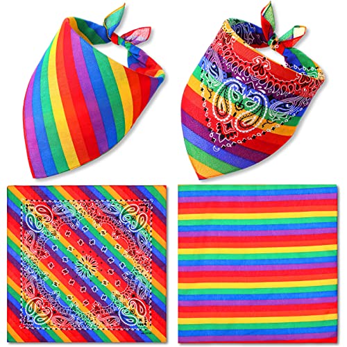 SATINIOR 2 Stück LGBT Gay Pride Regenbogen Bandanas Baumwolle Gay Pride Stirnband Streifen Paisley Mehrfarbig Halstuch LGBTQA Zubehör Süßes Einstecktuch Schal für Damen Herren Kopf Haar Geschenk von SATINIOR