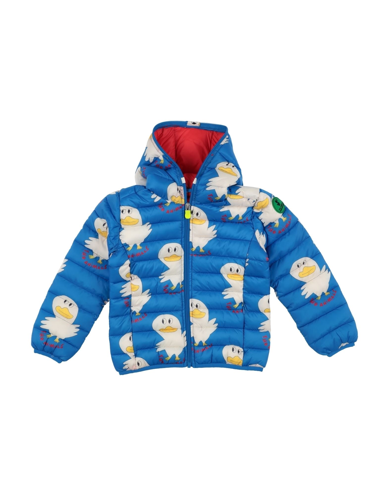 SAVE THE DUCK Pufferjacke & Daunenjacke Kinder Azurblau von SAVE THE DUCK