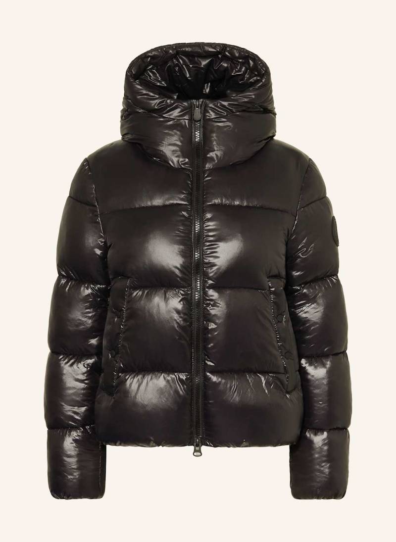 Save The Duck Steppjacke Biddy schwarz von SAVE THE DUCK