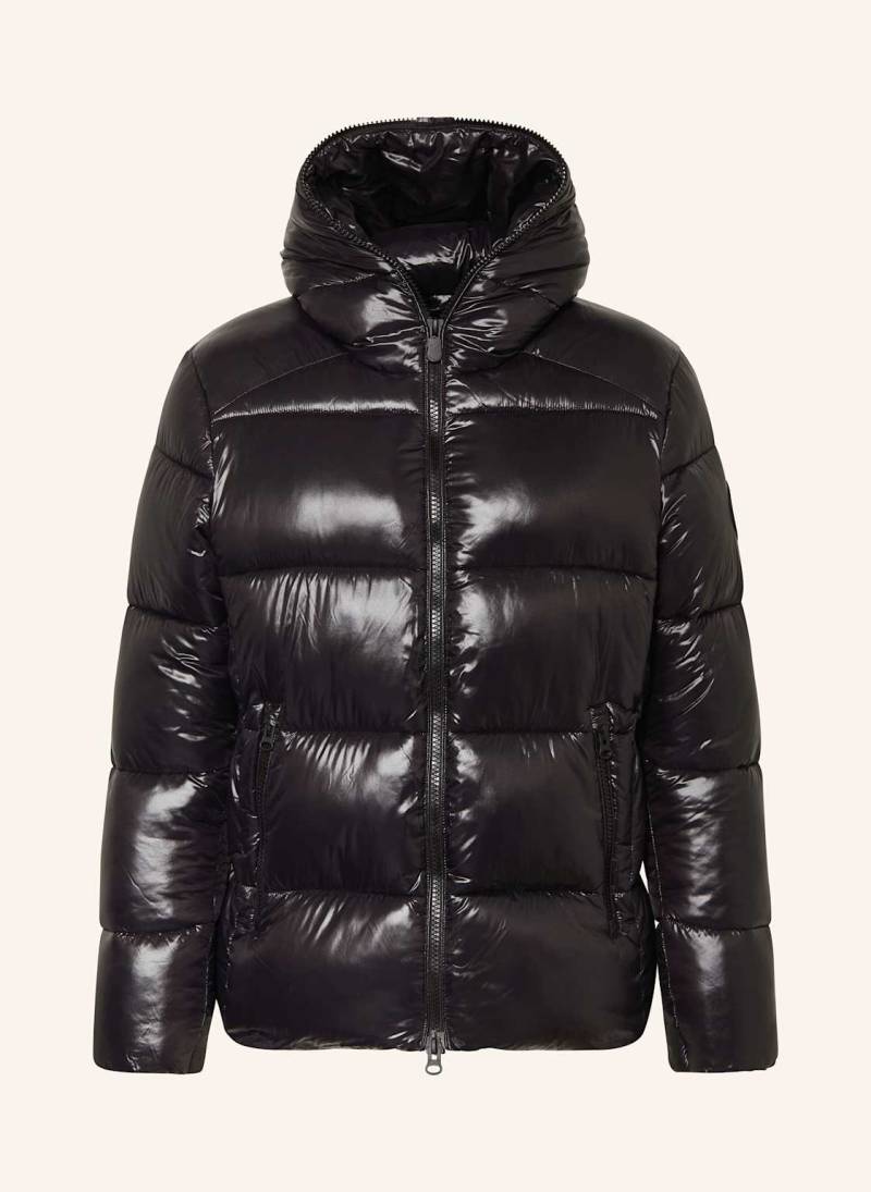 Save The Duck Steppjacke Edgard schwarz von SAVE THE DUCK