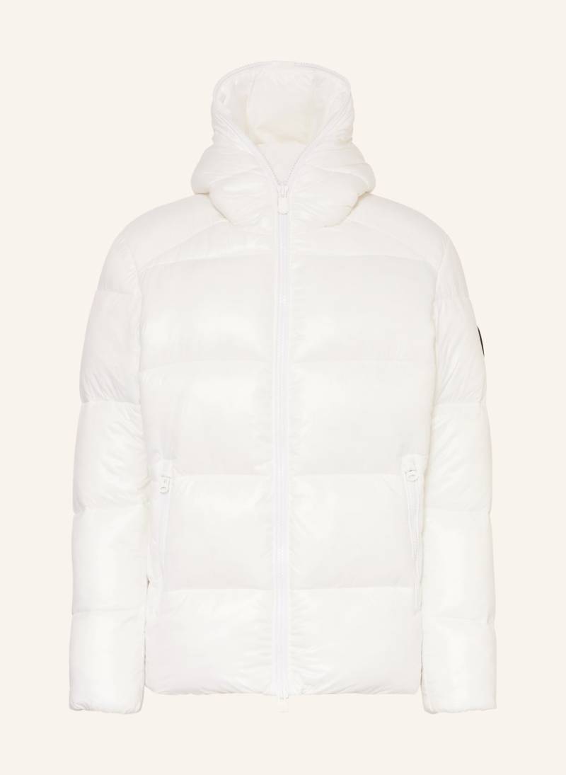 Save The Duck Steppjacke Edgard weiss von SAVE THE DUCK