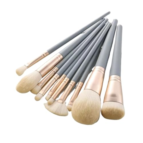 SBTRKT 8-20Pcs Make-Up Pinsel Set Lidschatten Foundation Frauen Kosmetische Pulver Erröten Blending Schönheit Make-Up Schönheit Werkzeuge (Color : 12PCS pink Barrel) von SBTRKT