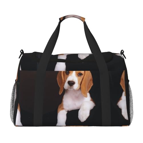 Ovely Reisetasche für Hunde und Hunde, Beagle, Reisetasche, Reisetasche, Sporttasche für Männer und Frauen, Schwarz , Einheitsgröße Ovely Reisetasche für Hunde und Hunde, Beagle, Reisetasche, Reisetasche, Sporttasche für Männer und Frauen, Schwarz , Einheitsgröße von SCAUA
