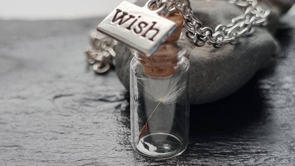Dandelion Seeds in Vials Necklace Chain Wish Jewelry Love Happiness Flower Pressed von SCHAU1MALTreasures