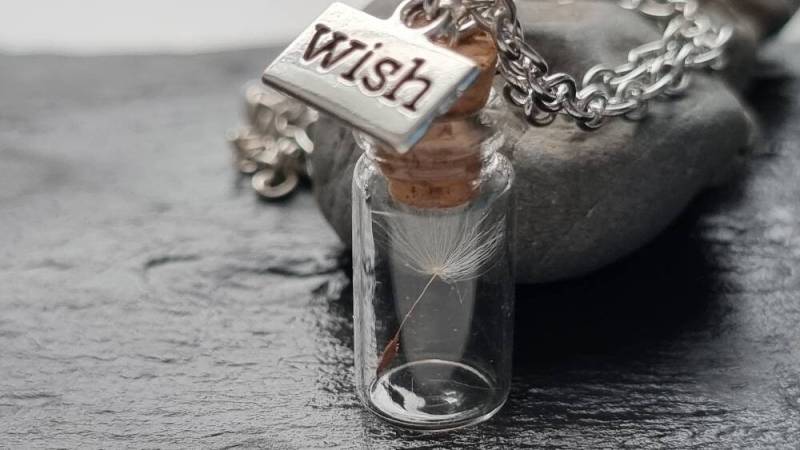 Dandelion Seeds in Vials Necklace Chain Wish Jewelry Love Happiness Flower Pressed von SCHAU1MALTreasures