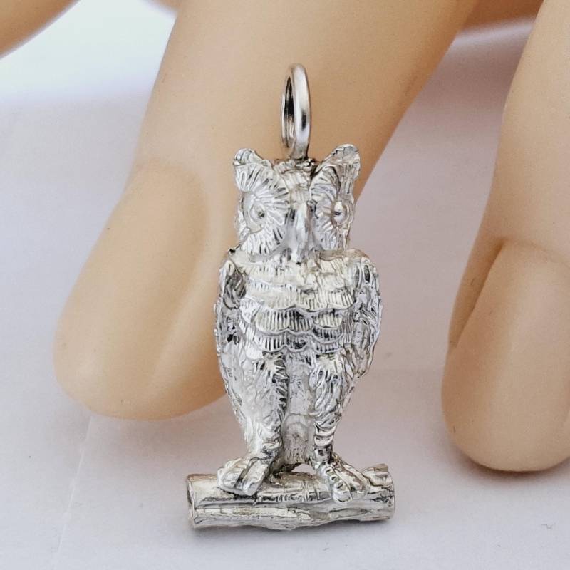 Eulenanhänger in Massiv Silber Von Frank Schwope, Tier, Goldschmiedearbeit, Schmuck, Eule, Schmuckunikat, Anhänger, Jagdschmuck von SCHMUCKUNIKATE