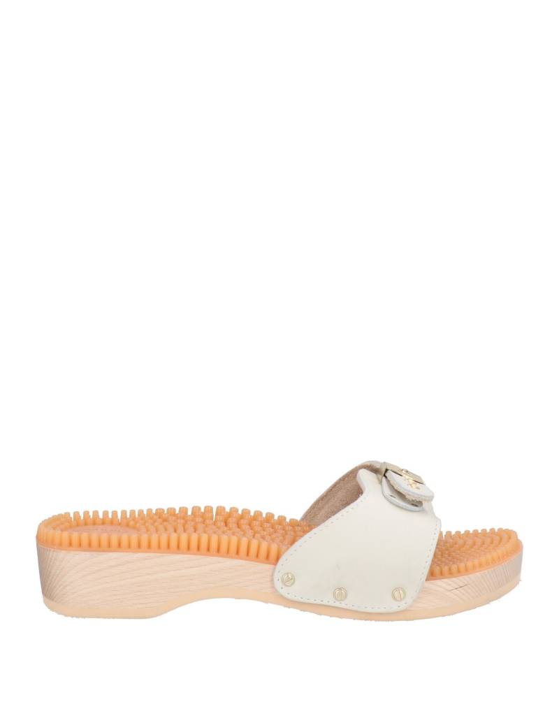 SCHOLL Mules & Clogs Damen Hellgrau von SCHOLL