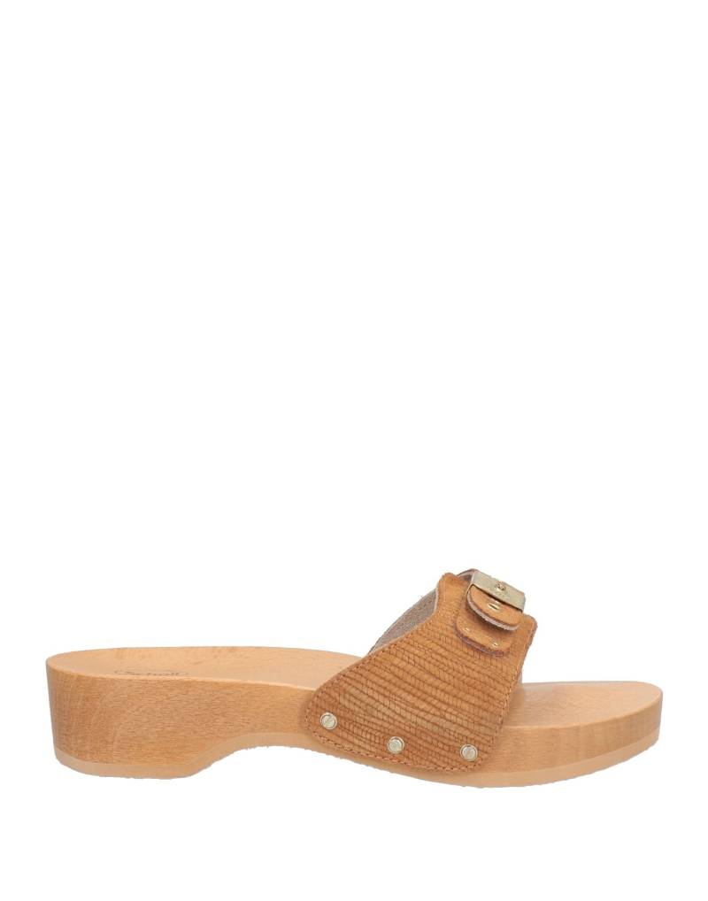 SCHOLL Mules & Clogs Damen Kamel von SCHOLL