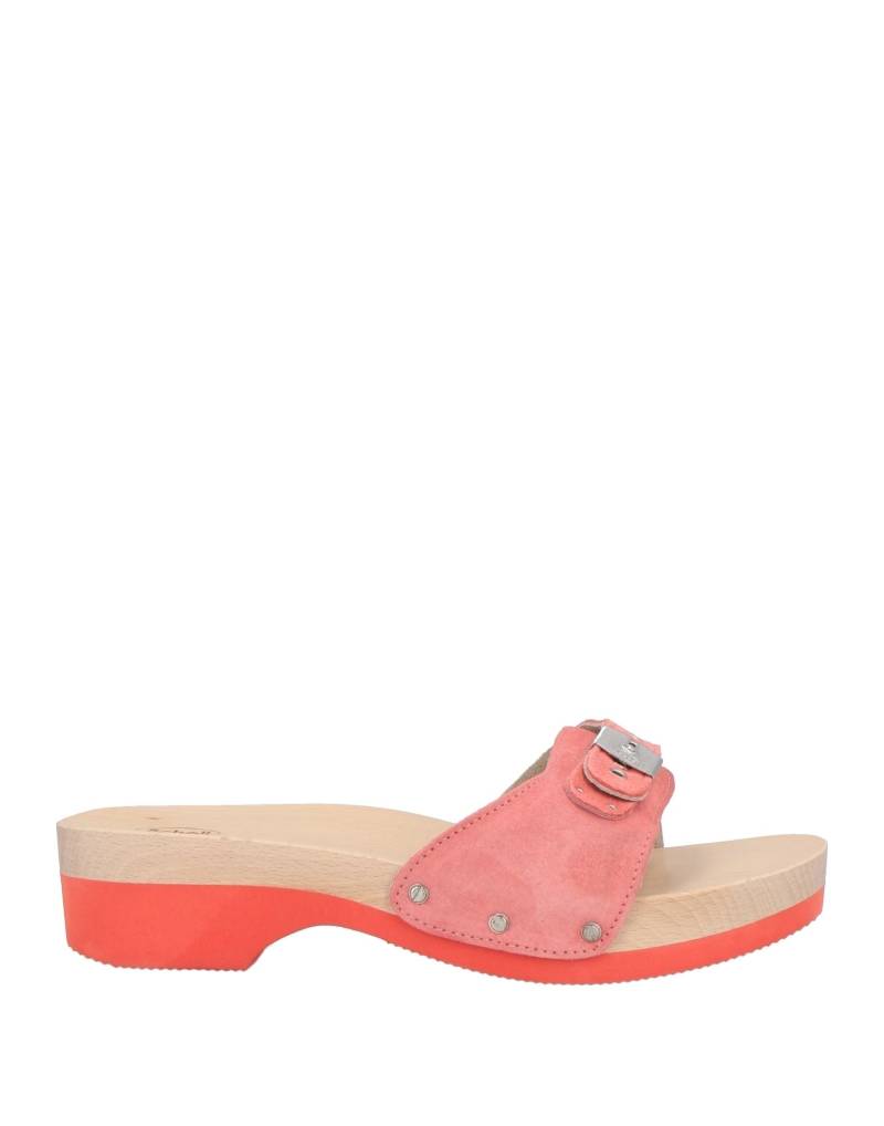 SCHOLL Mules & Clogs Damen Lachs von SCHOLL