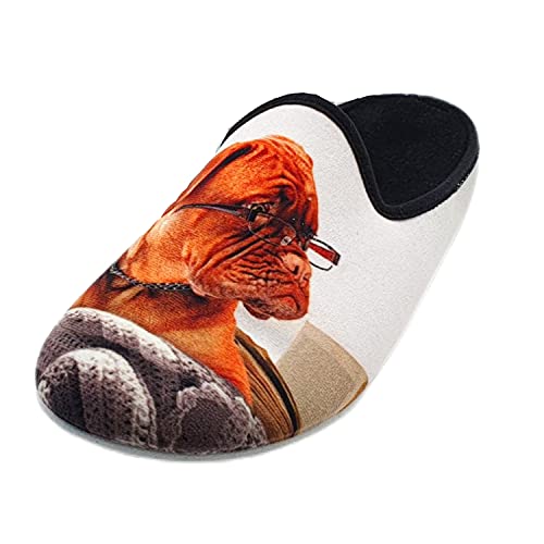Schuhkönig Hausschuh Pantoffel HELLE Sohle Bulldogge mit Brille 5554048 (numeric_42) von Schuhkönig