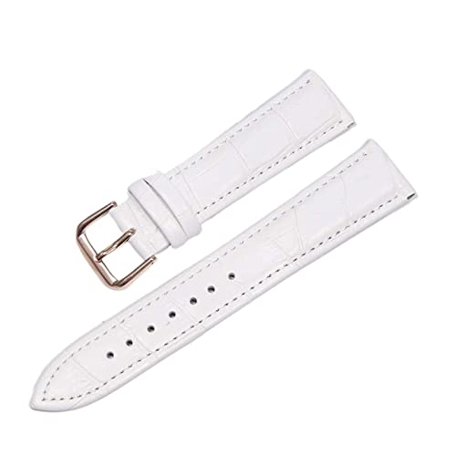 SCLHouiX Leder Uhrenbänder 18mm 20 mm 22mm Uhr Stahlstift Schnalle Bandband Armband Armband Uhren Band Uhrengurt (Farbe: Schwarz Gold, Größe: 24 mm) von SCLHouiX