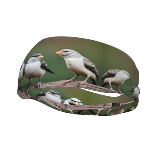 Stirnband mit drei Vögeln zum Schwitzen, rutschfest, dehnbar, waschbar, Make-up-Stirnband von SDEGTHO