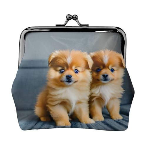 Pomeranians Puppies and Point Print Practicality Coin Purse Cute Mini Coin Pouch for Women (11.5 x 10.5 cm) Exquisite, Schwarz, Einheitsgröße von SDFHU
