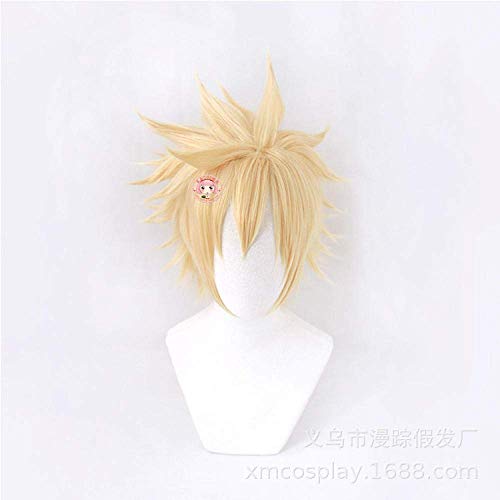 Cosplay Wig Anime Cosplay WIG Hochtemperaturbeständig FF15 Final Fantasy 7 Wolken Confidation geeignet für Halloween Party, Karneval, Nachtleben, Konzert, Rollenspiel Hochzeit von SEIZIS