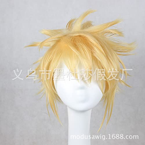 SEIZIS Wig Anime Cosplay Cosplay Wig Short Hair final Fantasy Game Animation golden Anti-suggestive Short curlyned Fiber Cover Wholesale von SEIZIS