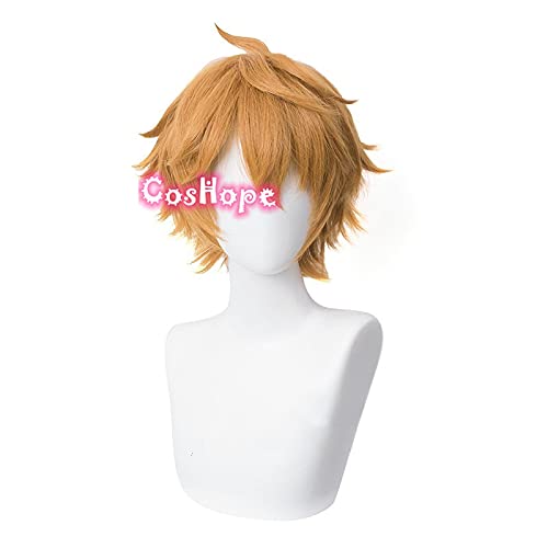 WHBHD Genshin Wirkung Tartaglia Cosplay 30cm Kurze Weihnachten Braune Perücke Cosplay Anime Perücken Hitzebeständige synthetische Perücken Halloween von SEIZIS