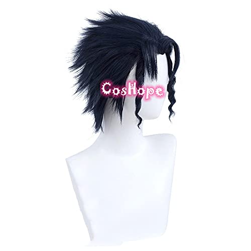WHBHD Kujo Jotaro Cosplay JoJo Bizarre Abenteuer Cosplay Männer Short Blue Black Perücke Cosplay Anime Cosplay Hitzebeständige synthetische Perücken von SEIZIS