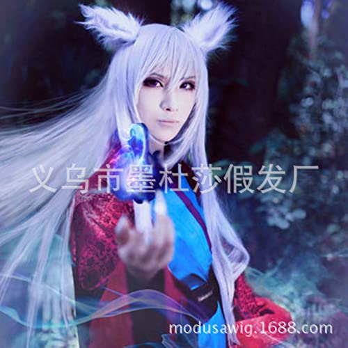 Wig Anime Cosplay Cosplay Silberfee Animationsfigur schräg LIU Hai Chang glattes Haar Silber weiße Kopfbedeckung Großhandel von SEIZIS