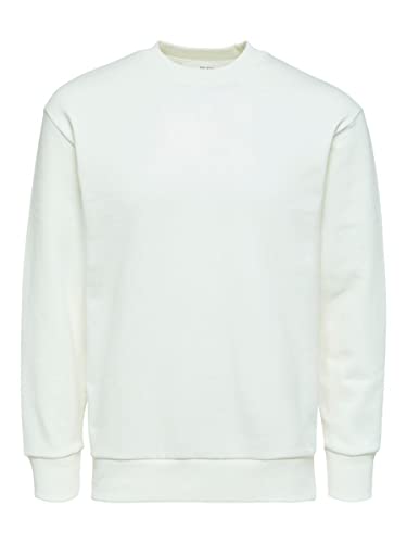 SELECTED FEMME Herren SLHRELAXHOFFMAN Crew Neck Sweat S NOOS Pullover, Egret, L von SELECTED FEMME