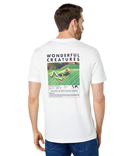 SELECTED HOMME Male T-Shirt Print von SELECTED HOMME