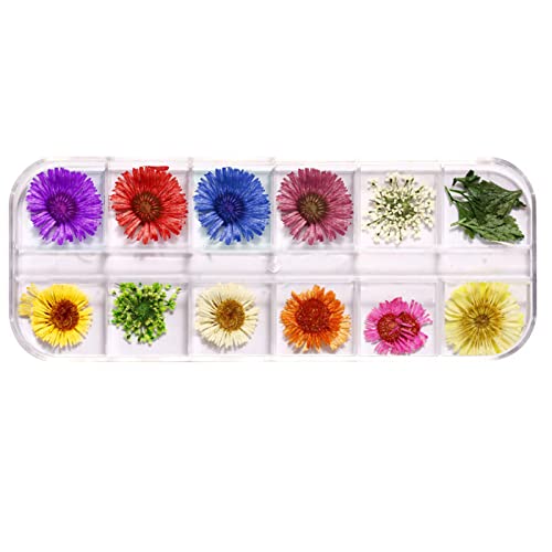 12 Color Getrocknete Blumen Trockenblume Real Natürlicher Blumennägelkunstzubehör Applique Nageldekoration Aufkleber Nagelkunst Getrocknete Blumen von SELVFZ
