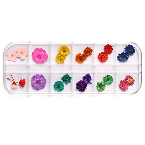 12 Color Getrocknete Blumen Trockenblume Real Natürlicher Blumennägelkunstzubehör Applique Nageldekoration Aufkleber Nagelkunst Getrocknete Blumen von SELVFZ