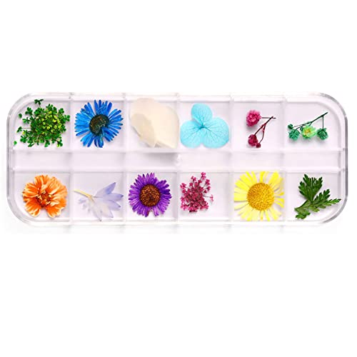 12 Color Getrocknete Blumen Trockenblume Real Natürlicher Blumennägelkunstzubehör Applique Nageldekoration Aufkleber Nagelkunst Getrocknete Blumen von SELVFZ