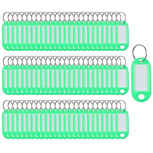 SagaSave Schlüsselanhänger 100 Stück Kunststoff Etiketten Organisationsanhänger Identifikationsanhänger Modern Grün Rechteckig 5 x 2.2cm (grün) von SagaSave