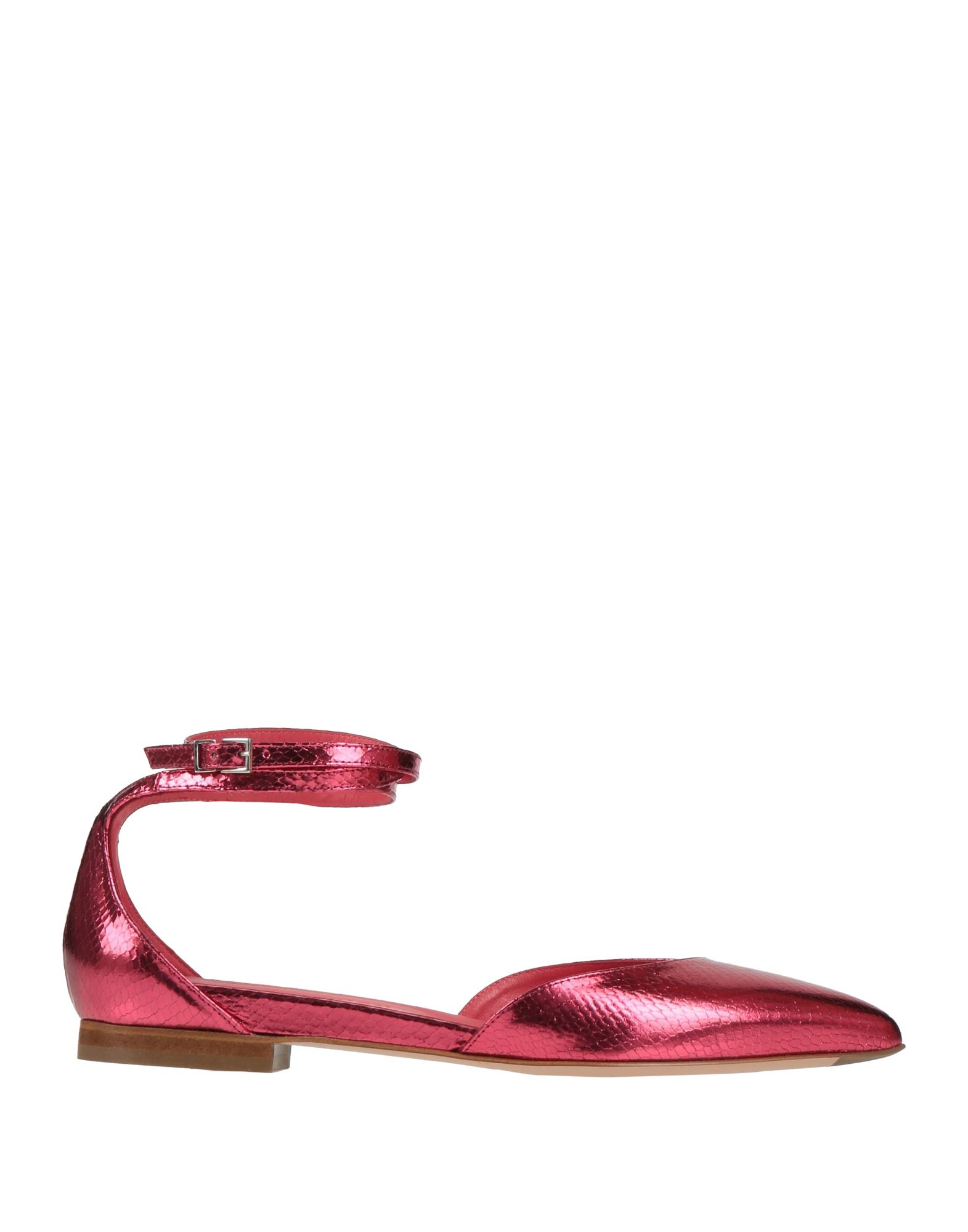 SERGIO LEVANTESI Ballerina Damen Fuchsia SERGIO LEVANTESI Ballerina Damen Fuchsia von SERGIO LEVANTESI