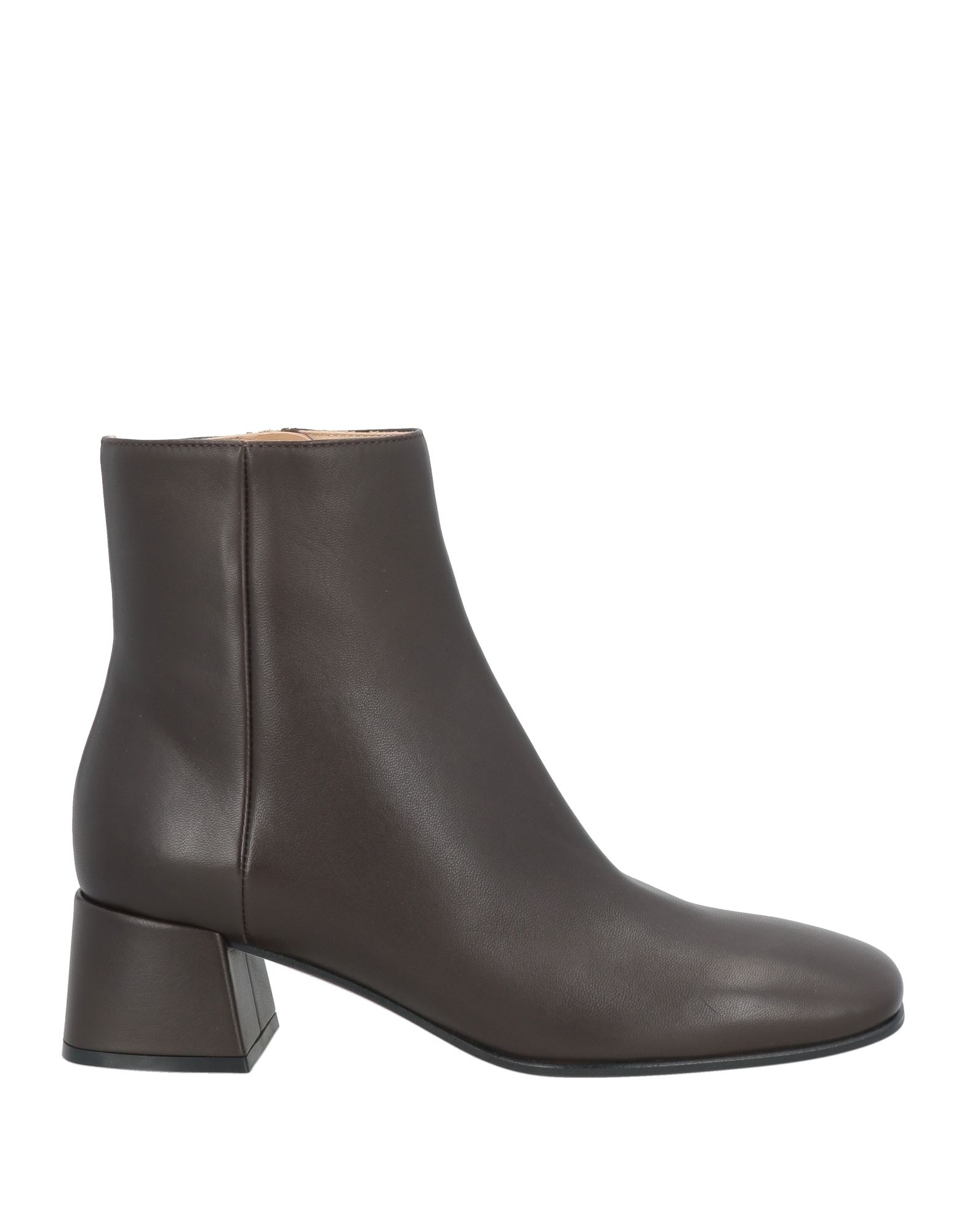 SERGIO ROSSI Stiefelette Damen Dunkelbraun von SERGIO ROSSI