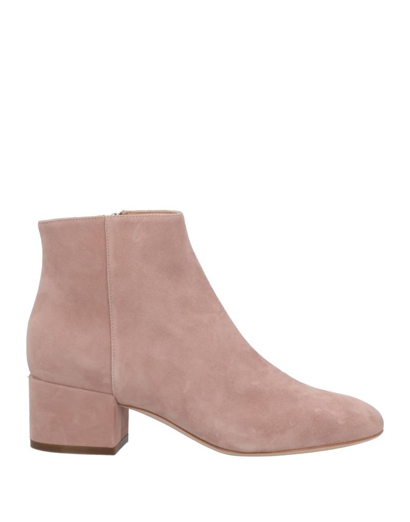SERGIO ROSSI Stiefelette Damen Hellrosa SERGIO ROSSI Stiefelette Damen Hellrosa von SERGIO ROSSI