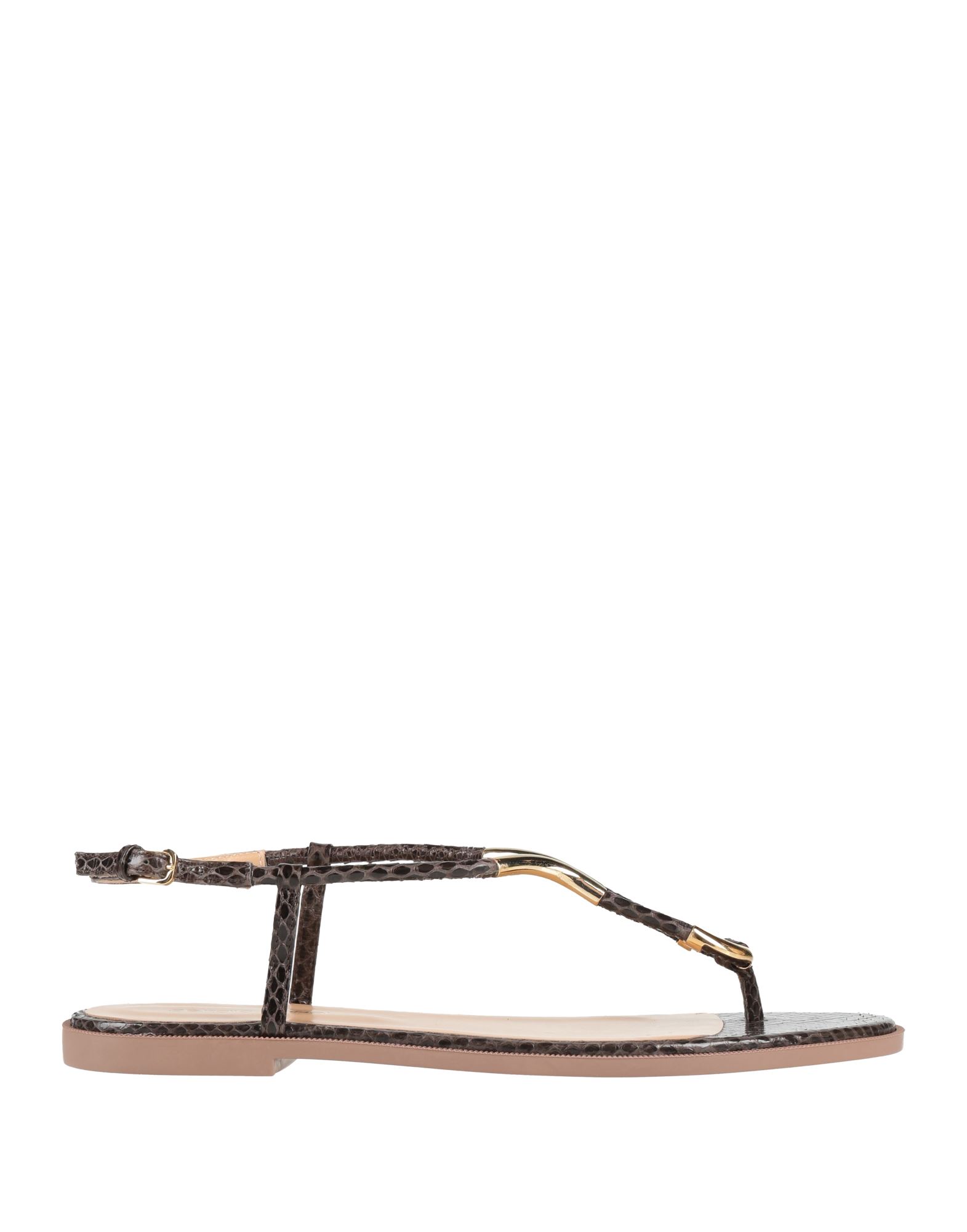 SERGIO ROSSI Zehentrenner Damen Dunkelbraun von SERGIO ROSSI